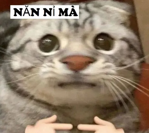 Gamer chơi tại phòng máy NetFun